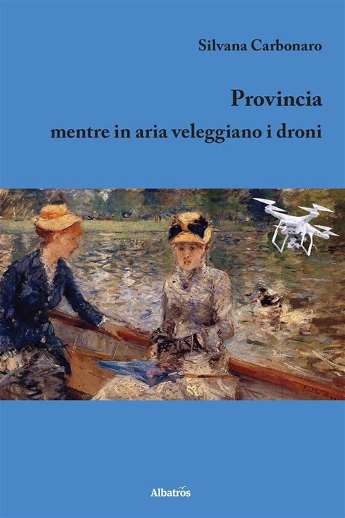 Provincia. Mentre in aria veleggiano i droni - Silvana Carbonaro - ebook