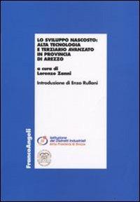 Lo sviluppo nascosto. Alta tecnologia e terziario avanzato in provincia di Arezzo - copertina