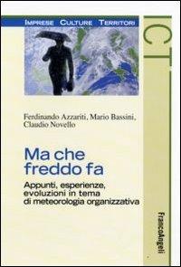 Ma che freddo fa. Appunti, esperienze, evoluzioni in tema di meteorologia organizzativa - Ferdinando Azzariti,Mario Bassini,Claudio Novello - copertina