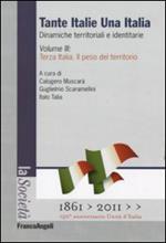Tante Italie una Italia. Dinamiche territoriali e identitarie. Vol. 3: Terza Italia. Il peso del territorio.