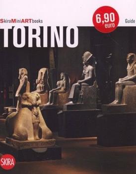 Libro Torino. Con cartina Federica Tammarazio