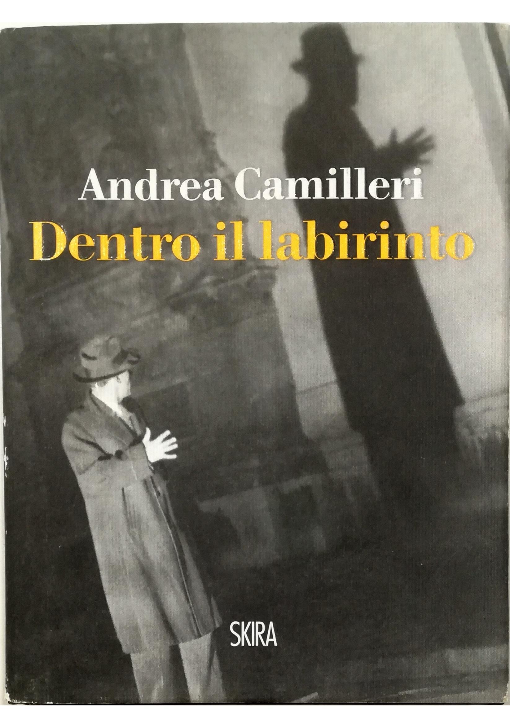 Dentro il labirinto