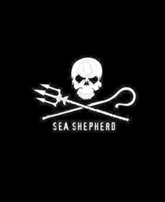 Sea Shepherd. 40 years. The official book. Ediz. illustrata - copertina