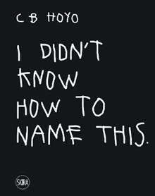 CB Hoyo. I didn't know how to name this. Ediz. illustrata