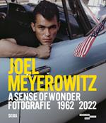 Joel Meyerowitz. A sense of wonder fotografie 1962-2022