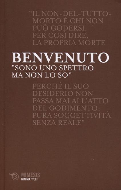 «Sono uno spettro ma non lo so». Fascino indiscreto dei fantasmi e passione della morte - Sergio Benvenuto - copertina