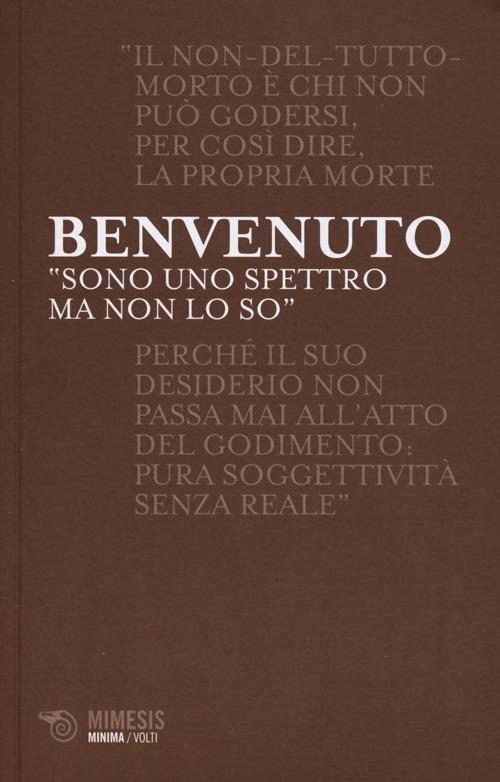 «Sono uno spettro ma non lo so». Fascino indiscreto dei fantasmi e passione della morte - Sergio Benvenuto - copertina