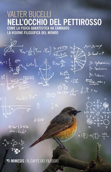 Nell'occhio del pettirosso. Come la fisica quantistica ha cambiato la visione filosofica del mondo - Valter Bucelli - copertina