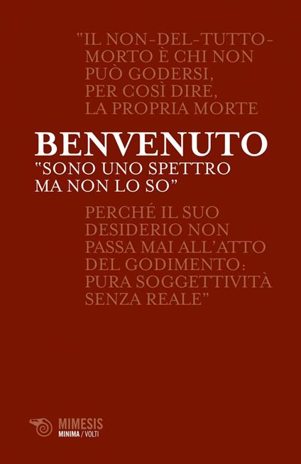 «Sono uno spettro ma non lo so». Fascino indiscreto dei fantasmi e passione della morte - Sergio Benvenuto - ebook