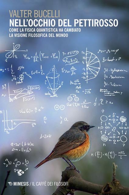 Nell'occhio del pettirosso. Come la fisica quantistica ha cambiato la visione filosofica del mondo - Valter Bucelli - ebook