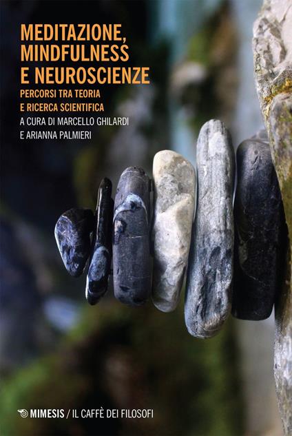 Meditazione, mindfulness e neuroscienze. Percorsi tra teoria e ricerca scientifica - Marcello Ghilardi,Arianna Palmieri - ebook
