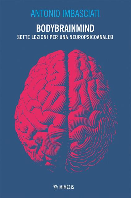 Bodybrainmind. Sette lezioni per una neuropsicoanalisi - Antonio Imbasciati - ebook
