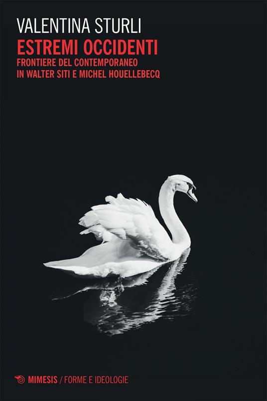 Estremi occidenti. Frontiere del contemporaneo in Walter Siti e Michel Houllebecq - Valentina Sturli - ebook