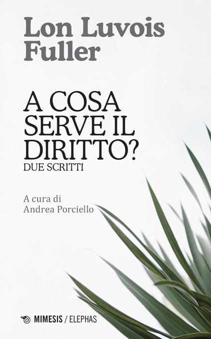 A cosa serve il diritto? Due scritti - Lon Luvois Fuller - copertina