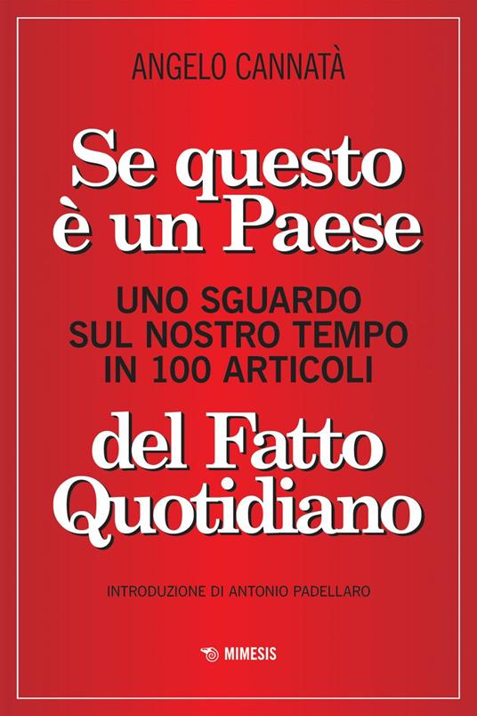 Se questo è un paese. Uno sguardo sul nostro tempo in 100 articoli del Fatto Quotidiano - Angelo Cannatà - ebook