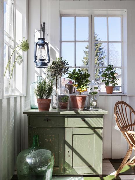 Shed Decor. Un rifugio in mezzo al verde - Sally Coulthard - 3