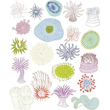 20 modi per disegnare una medusa e altre 44 straordinarie creature marine - Trina Dalziel - 2