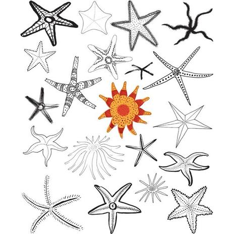 20 modi per disegnare una medusa e altre 44 straordinarie creature marine - Trina Dalziel - 4