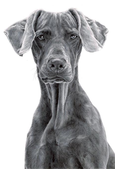 Cani d'autore - Angus Hyland,Kendra Wilson - 3