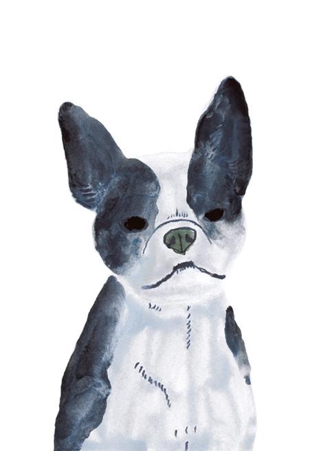 Cani d'autore - Angus Hyland,Kendra Wilson - 7