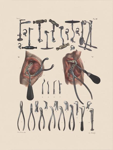 Il sorriso rubato - Richard Barnett - 3