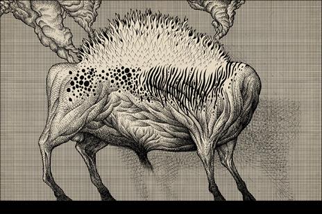 Nueva carne. Ediz. italiana e inglese - Claudio Romo - 5