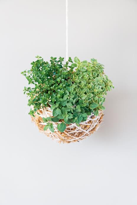 Kokedama. L'arte giapponese delle piante sospese - Coraleigh Parker - 4