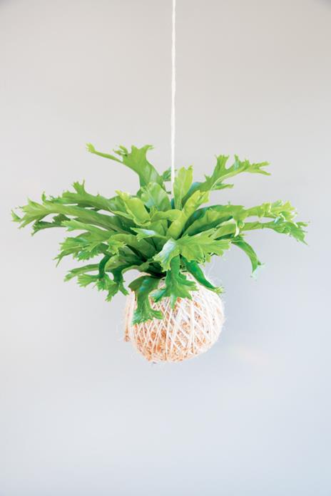 Kokedama. L'arte giapponese delle piante sospese - Coraleigh Parker - 6