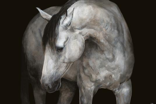 Cavalli d'autore - Angus Hyland,Caroline Roberts - 5