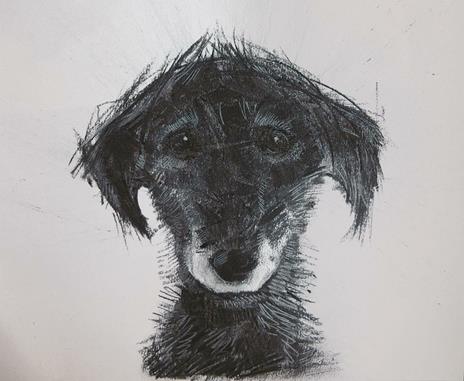 A dog a day - Sally Muir - 6