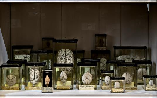 London mirabilia. Viaggio nell'insolito incanto - Ivan Cenzi,Carlo Vannini - 5