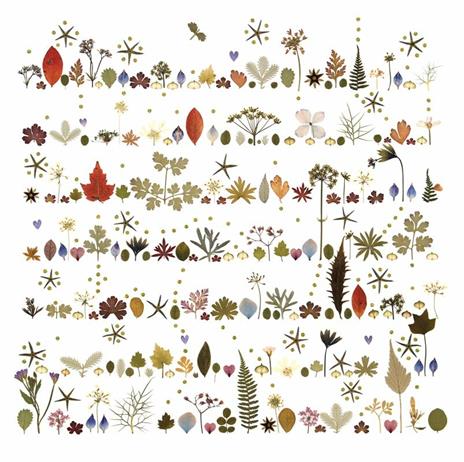 Fiori e foglie pressati ad arte - Jennie Ashmore - 5