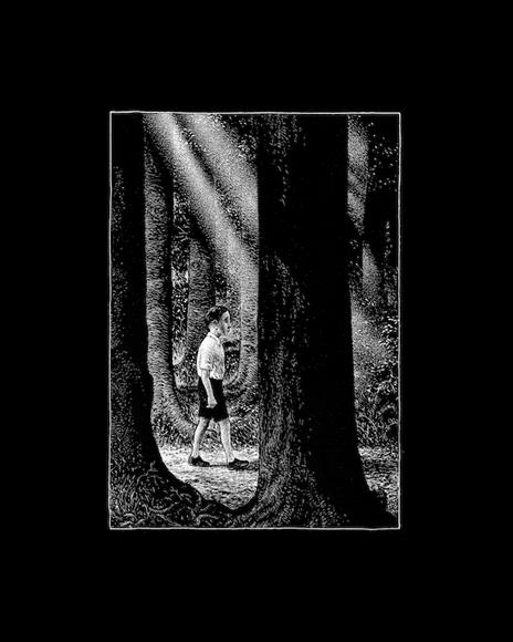 La foresta - Thomas Ott - 3