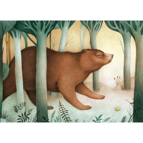 L' orso e il sasso. Ediz. a colori - Victoria Pérez Escrivá - 2