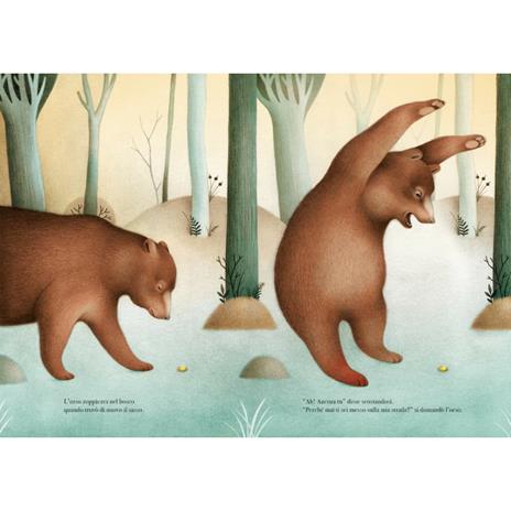 L' orso e il sasso. Ediz. a colori - Victoria Pérez Escrivá - 5