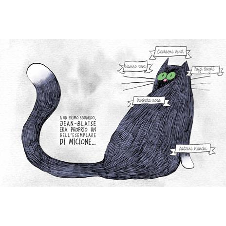 Jean-Blaise. Il gatto che si credeva un uccello. Ediz. a colori - Emilie Boré - 2