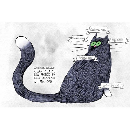 Jean-Blaise. Il gatto che si credeva un uccello. Ediz. a colori - Emilie Boré - 2