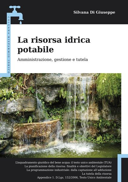 La risorsa idrica potabile. Amministrazione, gestione e tutela - Silvana Di Giuseppe - ebook
