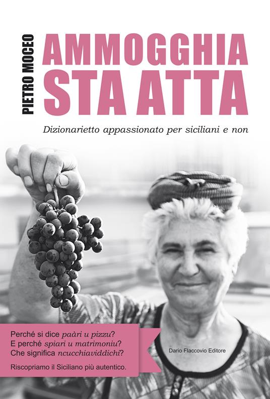Ammogghia sta atta. Dizionarietto appassionato per siciliani e non - Pietro Moceo - ebook