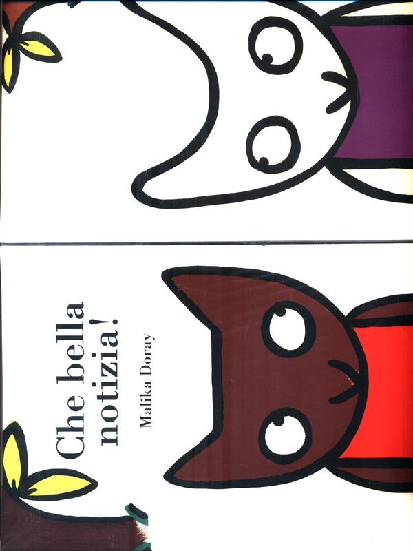 Libro di Faccia