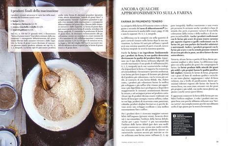 Il grande libro del pane. Tutti i segreti della panificazione, svelati da un grande maestro. Ediz. illustrata - Piergiorgio Giorilli,Elena Lipetskaia - 2