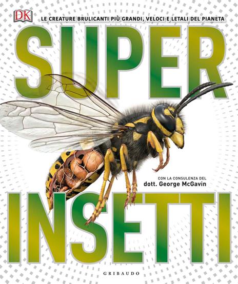 Superinsetti. Ediz. a colori - copertina