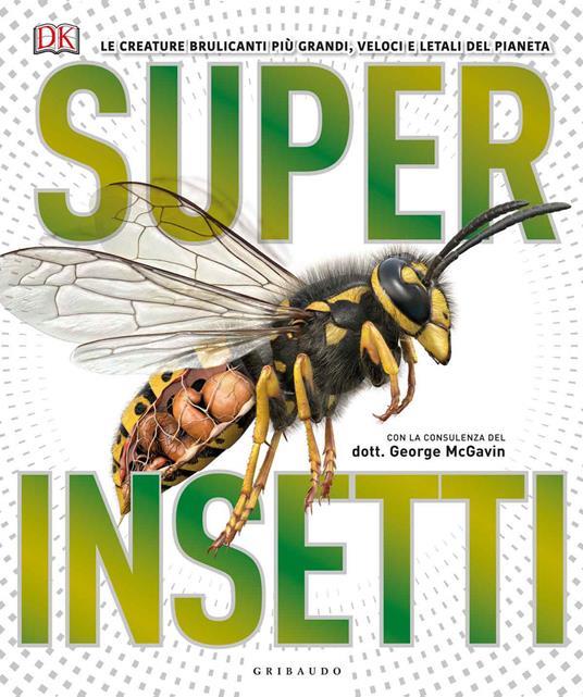 Superinsetti. Ediz. a colori - copertina