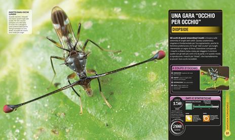 Superinsetti. Ediz. a colori - 3