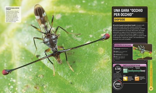 Superinsetti. Ediz. a colori - 3