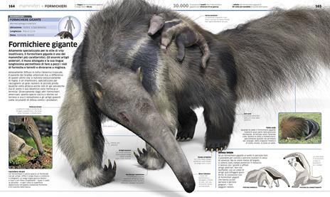 La grande enciclopedia degli animali - John Woodward,Kim Dennis-Bryan - 4