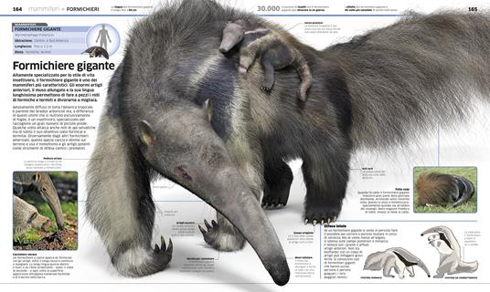 La grande enciclopedia degli animali - John Woodward,Kim Dennis-Bryan - 4
