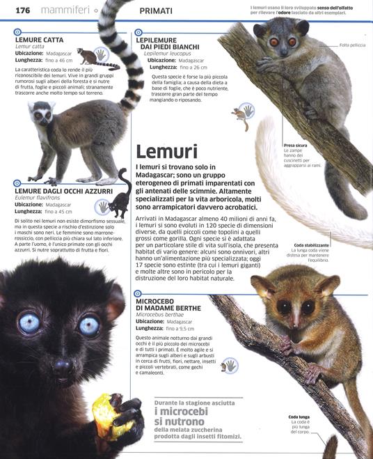 La grande enciclopedia degli animali - John Woodward,Kim Dennis-Bryan - 5