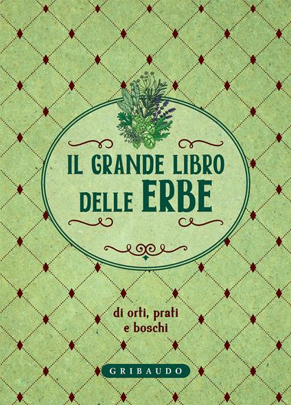 Il grande libro delle erbe di orti, prati e boschi - V.V.A.A. - ebook
