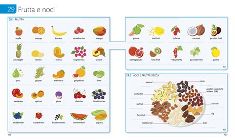 English for everyone. Vocabolario illustrato. Con Contenuto digitale per accesso online - 4